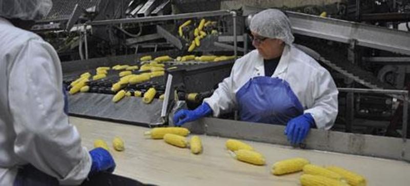 Bonduelle Amérique du Nord mise sur le développement de son usine située à Saint-Denis-sur-Richelieu.