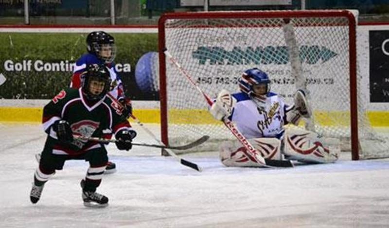 Les Gaulois de Saint-Hyacinthe novice C sont l'une des trois équipes maskoutaines à être exclues du championnat régional pour le non-respect d'un règlement visant à équilibrer la force des équipes d'une même région, ayant refusé de faire un échange en cours de saison.