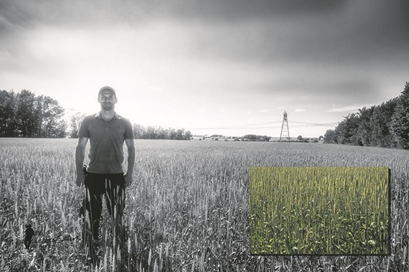 Toujours à la recherche de nouveautés pour améliorer ses cultures tout en protégeant l’environnement, cet agriculteur fait l’essai d’un semis à la volée. Tout comme le semis direct, cette méthode de culture favorise le maintien d’une bonne vie microbienne dans le sol.   Photo Hélène Brien | MRC ©