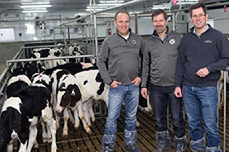 Délimax dans la cour des grands