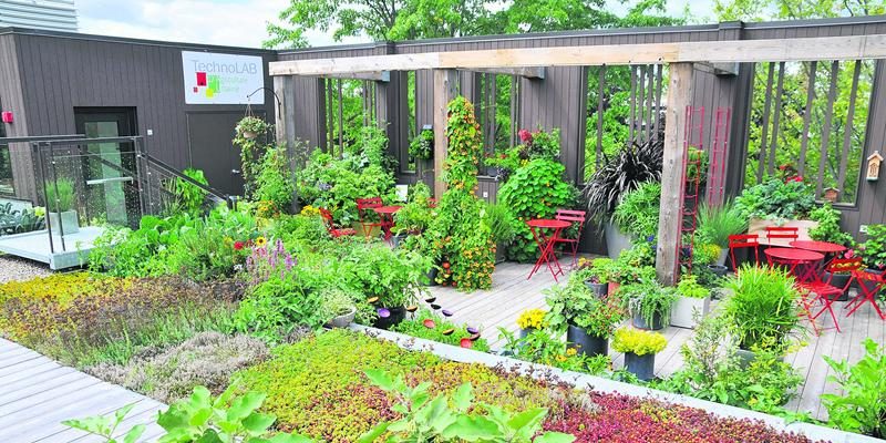 L’Institut possède les plus imposantes installations et technologies en milieu scolaire au Québec : ferme-école, usines de transformation laitière et alimentaire, jardin scolaire, centre de compostage, complexe serricole, ateliers de soudure et d’aménagement paysager, sans oublier le Pavillon horticole écoresponsable et son TechnoLAB d’agriculture urbaine. Photo Claude Vallée