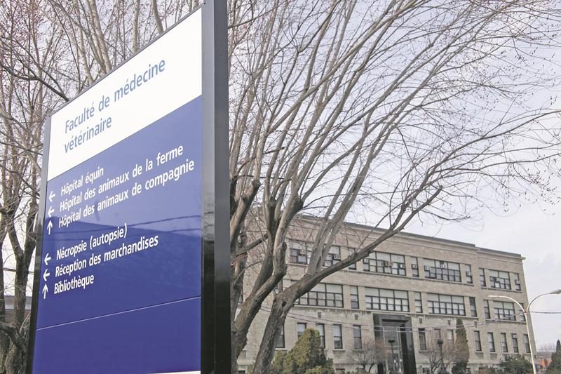 La session d’hiver reprend aujourd’hui même si le conflit perdure à la Faculté de médecine vétérinaire de Saint-Hyacinthe. Photothèque Le Courrier