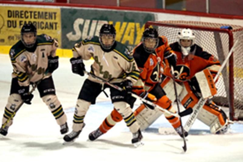 Les Lions poursuivent sur leur lancée contre les Gaulois