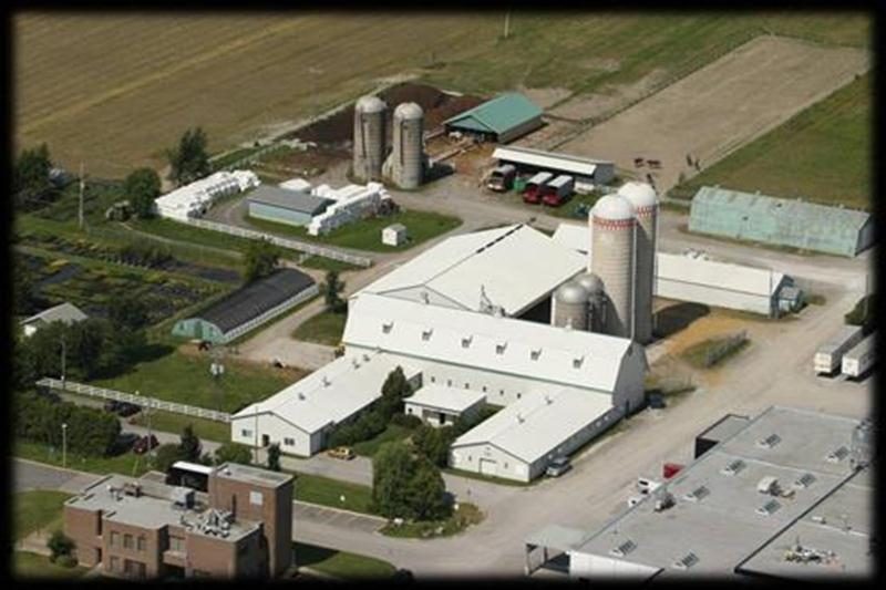 Le dimanche 11 septembre, dans le cadre de la journée Portes ouvertes sur les fermes du Québec, la ferme-école Maskita de l'ITA sera ouverte au grand public de 10 h à 16 h.