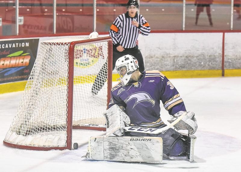 Les Gaulois ont été opportunistes dimanche face aux Albatros dans une victoire de 5 à 2.  Photo François Larivière | Le Courrier ©