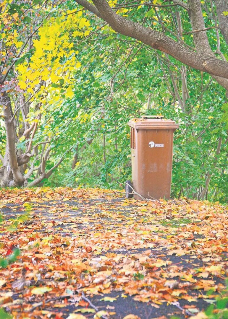 Les feuilles mortes sont sans valeur pour la biométhanisation, et les bacs bruns en contiennent  trop en automne.   Photo Robert Gosselin | Le Courrier ©