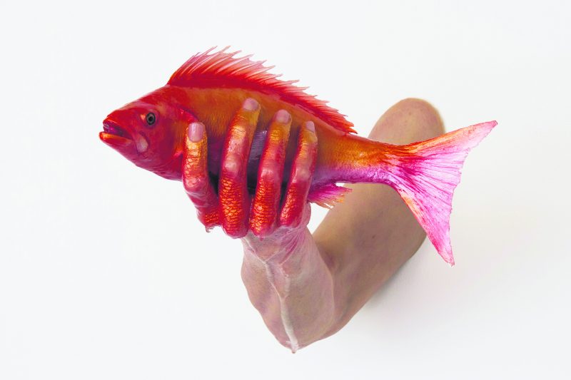 © Karine Payette, Subjuguer, 2016, silicone, pigment à silicone, polystyrène. Collection Hamelys. Crédit photo : Mike Patten