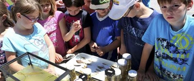 Les élèves de troisième année du groupe de l'enseignant Maxime Languérand de l'École aux Quatre-Vent ont participé à une activité de pêche expérimentale dans la rivière Salvail. C'est une employée du ministère des Ressources naturelles, Mélissa Larochelle, qui a procédé à une pêche expérimentale dans la rivière. Les élèves ont pu observer, identifier, comptabiliser et manipuler les poissons en toute sécurité. Cette expérience avait comme but de sensibiliser les jeunes à la présence de vie dans l