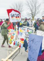 Un carnaval réussi à la PHD