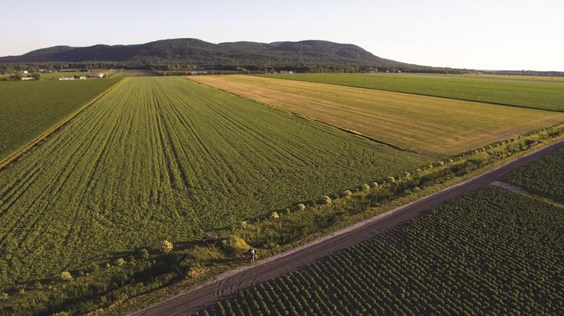Ce projet de bande riveraine arbustive a permis de résoudre un problème récurrent d’érosion et d’espacer considérablement les entretiens du cours d’eau, des travaux très couteux et néfastes pour la biodiversité. Grâce au travail collectif de plusieurs agriculteurs voisins souhaitant apporter une solution à long terme, ce projet est un succès. Photo: Sébastien Deraspe | MRC ©