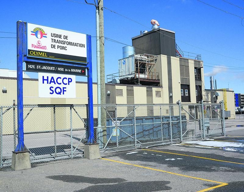L’usine de transformation de porc Olymel de Saint-Hyacinthe. Photo François Larivière | Le Courrier ©