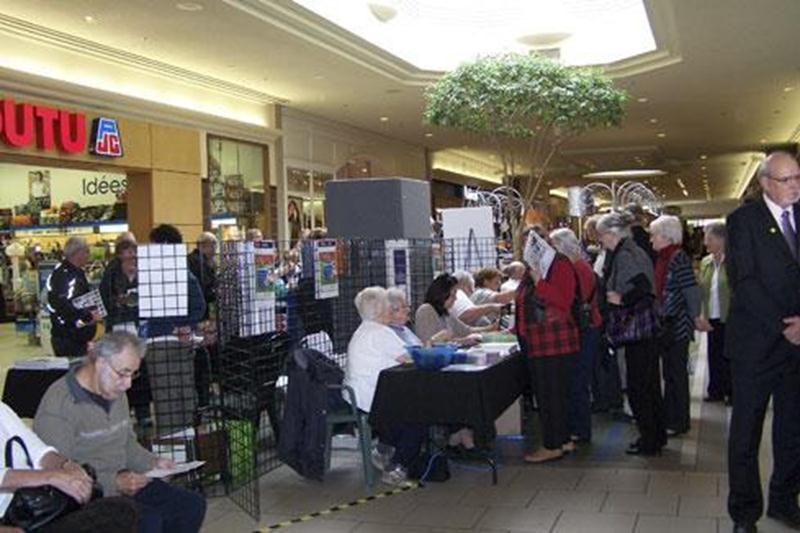 Dans le cadre de la Journée internationale des personnes âgées, la FADOQ – Région Richelieu-Yamaska organise la 4<sup>e</sup> édition du Salon FADOQ. L’activité aura lieu le 5 octobre aux Galeries St-Hyacinthe situées au 3200, boul. Laframboise. Le Salon s’adresse à toute la population des 50 ans et plus de la région Richelieu-Yamaska. Les visiteurs pourront rencontrer plus de 50 exposants et assister à trois conférences. Dans l’avant-midi, la chorale de l’AREQ présentera un spectacle à la salle