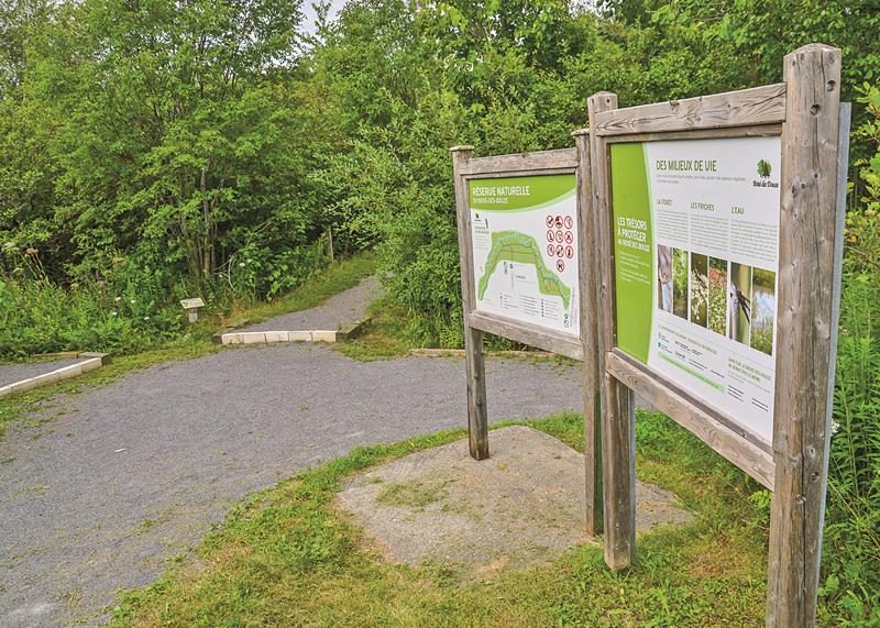 Avec le soutien de la Ville de Saint-Hyacinthe, le Boisé-des-Douze a entrepris des démarches de consolidation qui devraient mener à des acquisitions de terrain et à l’établissement de servitude de conservation.  Photo François Larivière | Le Courrier ©