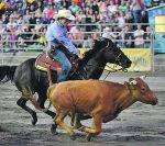 Les rodéos devraient-ils être abolis?