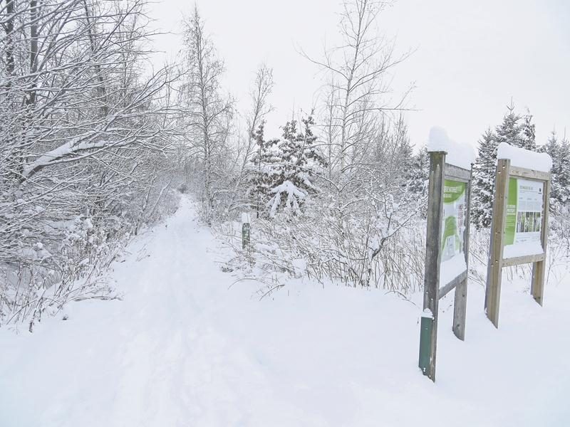 Photo Céline Lussier Cadieux