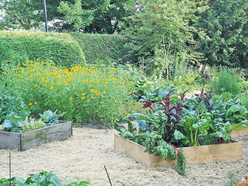 Un petit coin de nature juste pour soi!