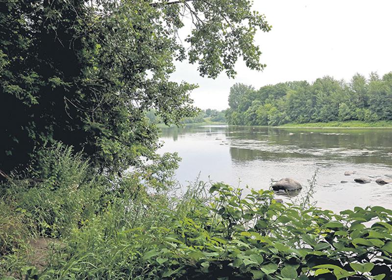 Un secteur du Rapide-Plat Nord, en aval de la station d’épuration de Saint-Hyacinthe, où le déversement avait été signalé à l’été 2016.   Photothèque | Le Courrier ©