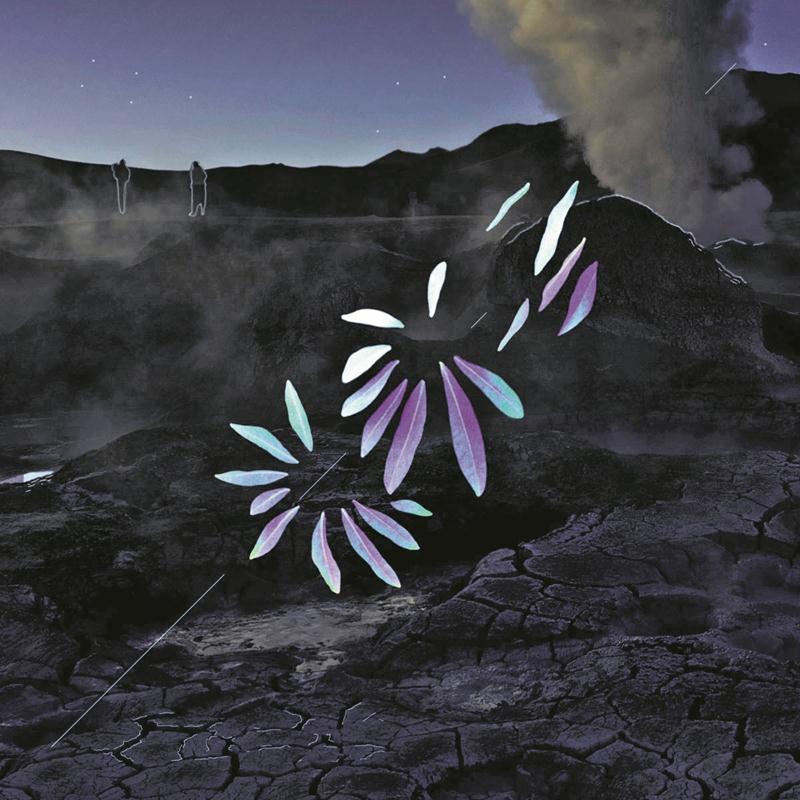 Renard Blanc - Nuit