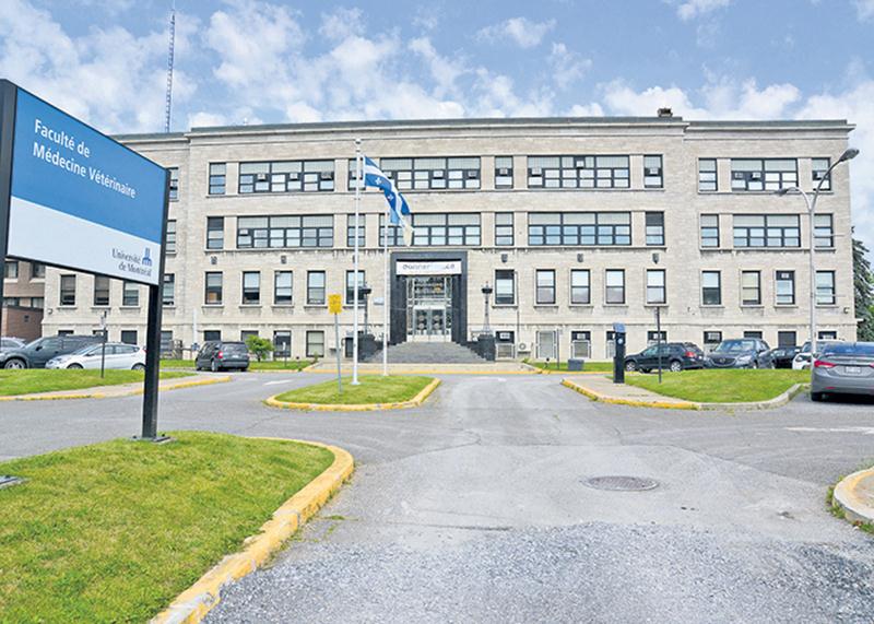 Le travail de la cinquantaine d’enseignants-cliniciens de la Faculté de médecine vétérinaire de Saint-Hyacinthe est maintenant régi par une convention collective.