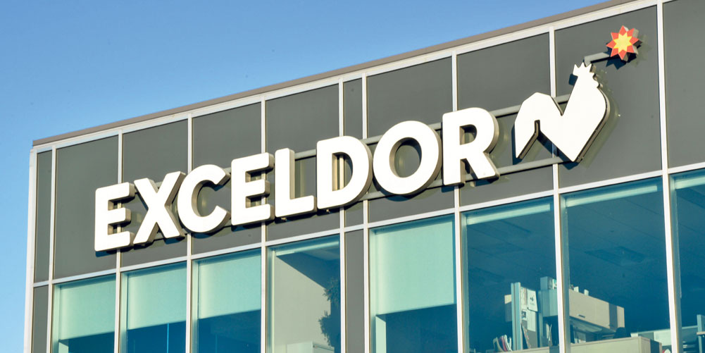 1 - Exceldor confirme son intérêt