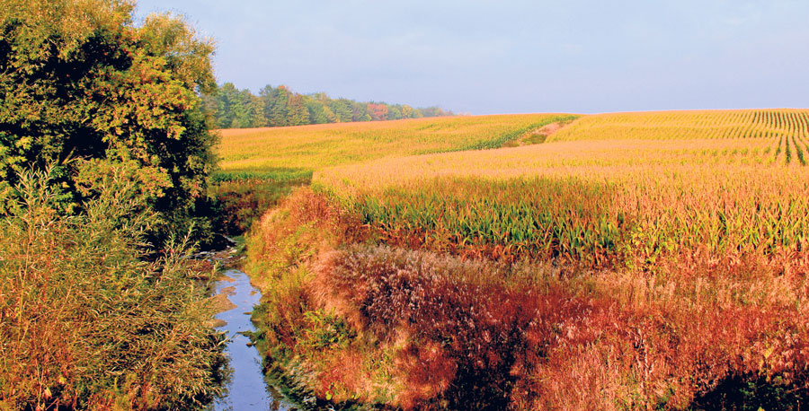 Ce cours d’eau sillonnant un champ agricole donne un caractère bucolique à l’environnement, mais en réalité, il constitue aussi un défi considérable. En plus d’avoir à en comprendre la dynamique, l’agriculteur doit jongler avec la variation des niveaux d’eau qui apporte quantité de déchets. De plus, il doit s’adapter aux passages fréquents des animaux, dont certains nuisent à ses cultures. Michel Gadbois | MRC des Maskoutains  ©