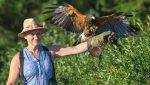 Le ferme Équinoxe : un rêve de club Med pour la biodiversité