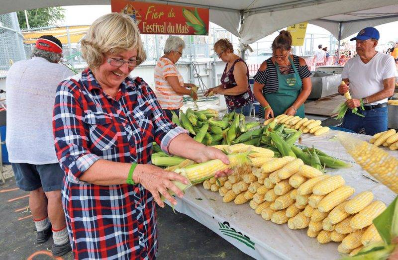 Pas moins de 38 000 épis de maïs ont été dégustés cette année au Festival, soit 4000 de plus que l’an passé. Photo Robert Gosselin | Le Courrier ©