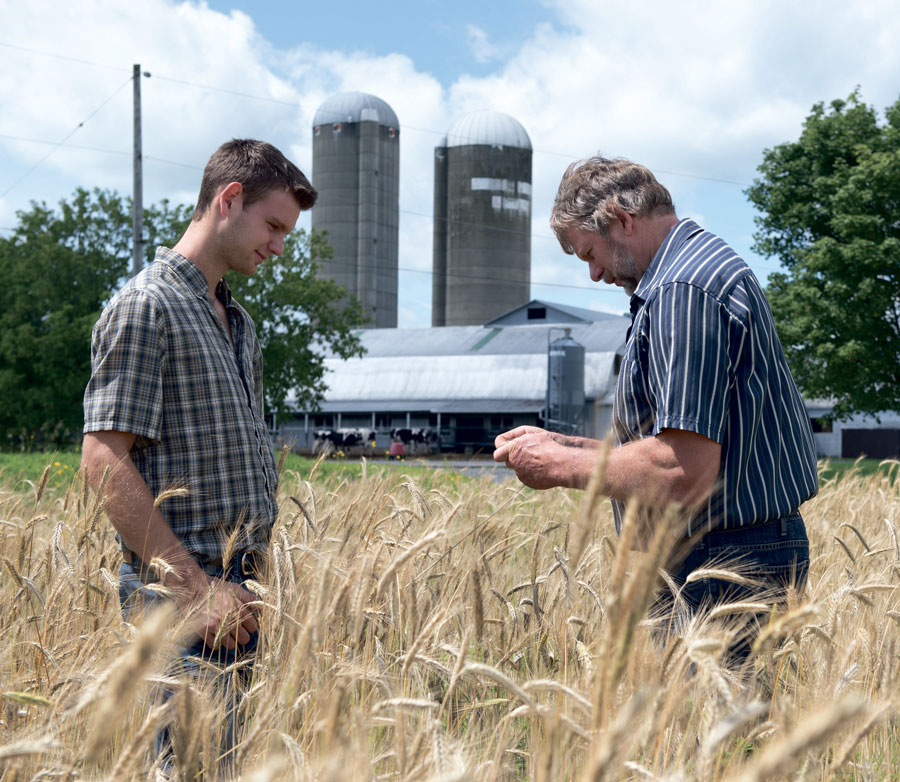 Plusieurs nouvelles activités de perfectionnement sont proposées par l’ITA pour le secteur agricole. Photo Éric Labonté, MAPAQ