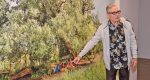 Guidé par les arbres et la lumière