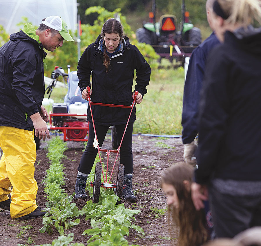 Deux nouvelles formations visant à se familiariser avec la production maraîchère biologique en serre et au champ seront offertes au campus de Saint-Hyacinthe de l’ITA à la fin de janvier 2020. Photo Éric Labonté MAPAQ