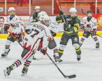 De la visite japonaise pour le Vert et Noir pee-wee AAA