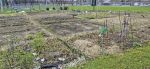 Les jardins communautaires ouvriront bientôt