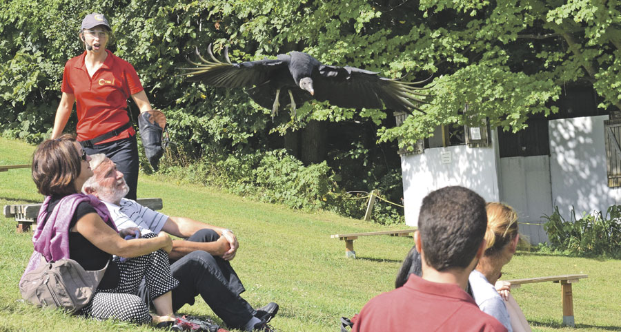 Une visite des installations de Chouette à voir! cet été est une activité incontournable de la région. Photo gracieuseté