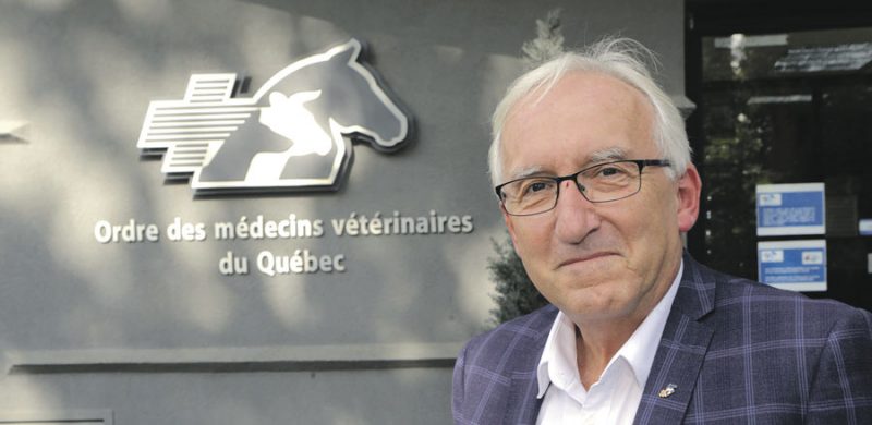 Coordonnateur au Centre d’expertise en production ovine du Québec, le Dr Gaston Rioux vient d’être nommé président de l’Ordre des médecins vétérinaires du Québec. Photo Robert Gosselin | Le Courrier ©