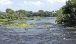 Une passerelle sur la Yamaska?