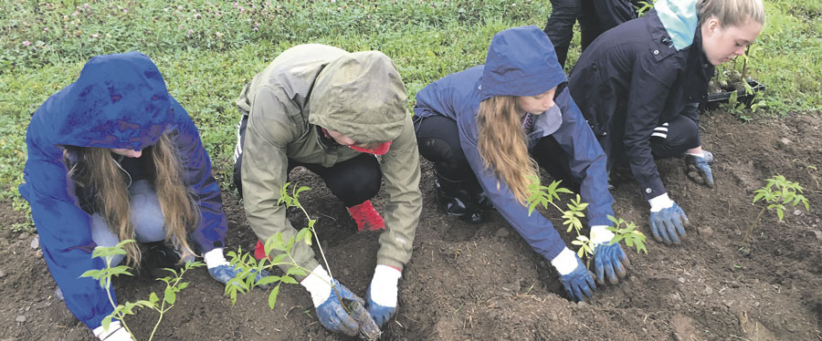 ALUS Montérégie aidera à améliorer encore plus la qualité de l’eau, restaurer des habitats naturels et protéger la biodiversité locale, grâce à un nouveau financement octroyé au projet New Acre d’ALUS Canada par Silk. Photo gracieuseté
