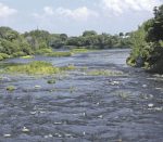 Des déversements en quantité à Saint-Hyacinthe