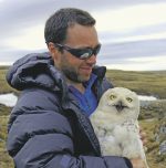 Conférence virtuelle sur l’emblème aviaire québécois