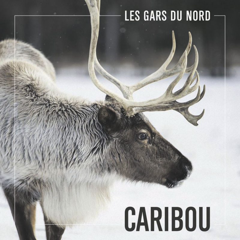 Les Gars du Nord - Caribou