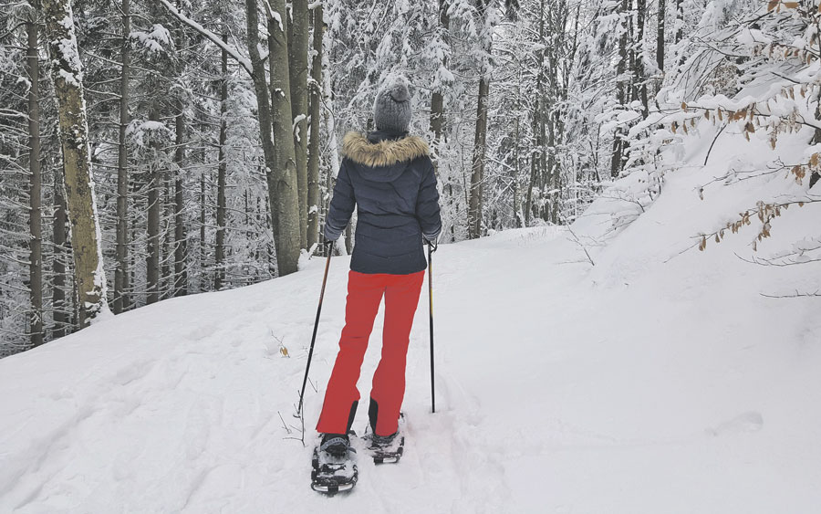 Les Loisirs Saint-Hugues et la Municipalité de Saint-Denis-sur-Richelieu pourront se munir de nouvelles raquettes de neige cet hiver grâce à l’aide financière du Fonds « En Montérégie, on bouge! ». Photo Pixabay