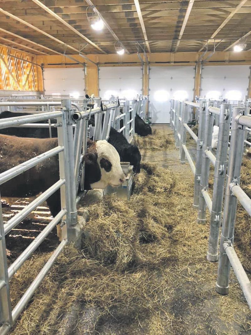 Après l’arrêt des activités de Semex à Sainte-Marie-Madeleine, DMV GenetiQ deviendra l’unique centre de collecte de semence de taureaux au Québec. Photo Facebook