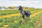 La Fédération de l’UPA de la Montérégie réclame une réduction des délais