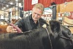 Bon départ de l’Expo agricole