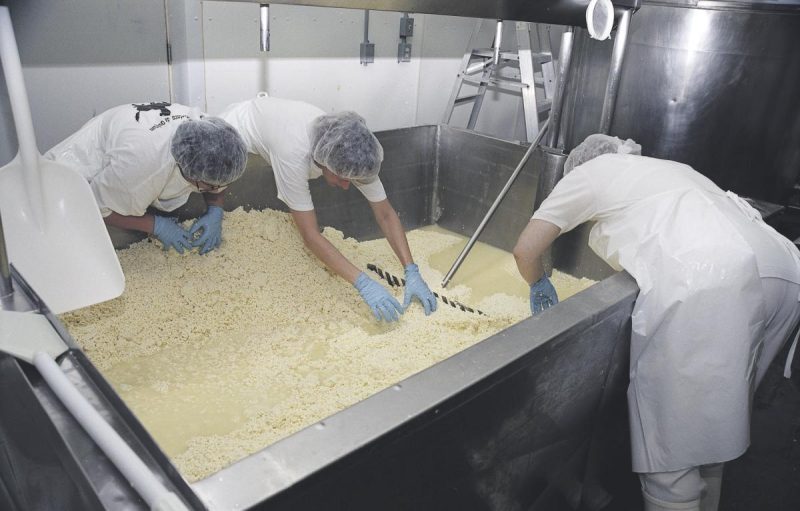 La nouvelle AEC Techniques de transformation du lait en produits laitiers sera offerte à l’ITA à compter de l’automne. Photo Éric Labonté, MAPAQ (photo prise avant la pandémie)