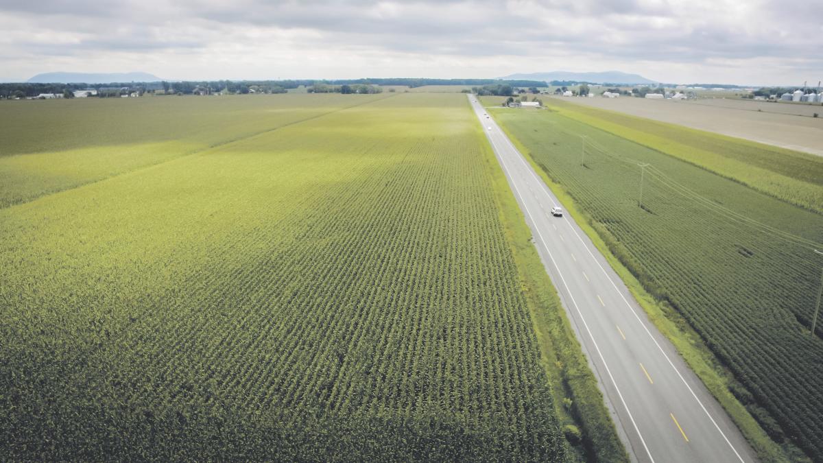 L’UPA Montérégie a réagi à la décision de la CPTAQ d’autoriser l’exclusion de 10 hectares de la zone agricole. Photothèque | Le Courrier ©