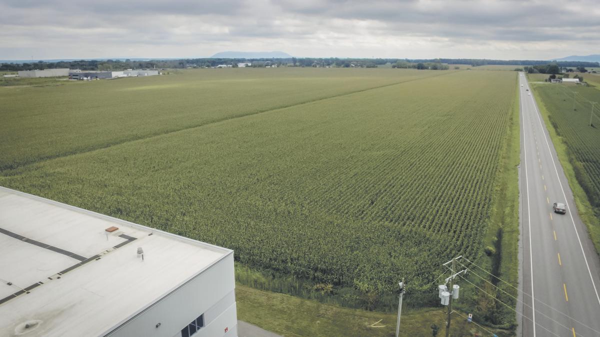 Les 10 hectares suggérés par la CPTAQ ne satisfont pas la MRC. Photothèque | Le Courrier ©