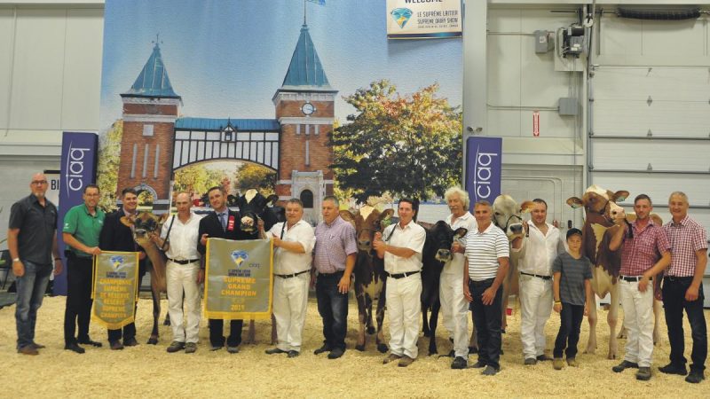 Les bovins laitiers qui ont remporté le championnat Suprême de 2019 ainsi que les organisateurs de l’événement. Photo gracieuseté