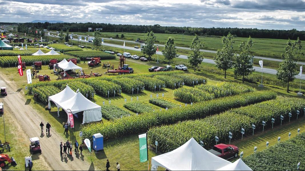 L’ExpoChamps de retour au champ