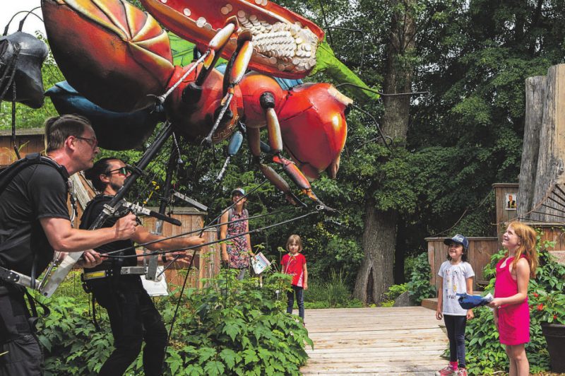 Les fourmis géantes du Théâtre de la Dame de Cœur seront de retour au Jardin Daniel A. Séguin le dimanche 29 août. Photo Paul Baril | Club photo Saint-Hyacinthe
