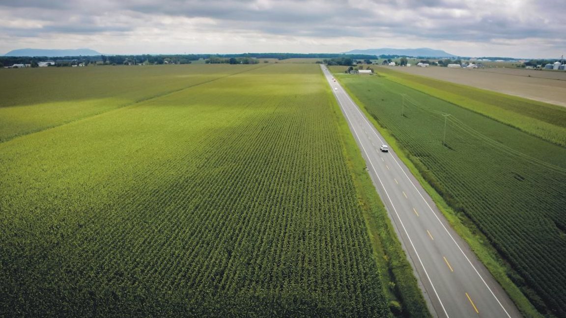 La CPTAQ a accepté d’exclure des terres de l’avenue Pinard de la zone agricole. Photothèque | Le Courrier ©